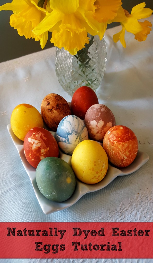 Naturally Dyed Easter Eggs  Against All Grain - Delectable paleo recipes  to eat & feel great